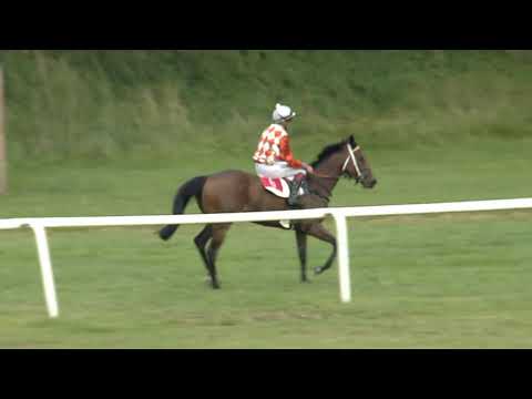 7. dostih - 76. Oaks holdingu Rabbit CZ - dostihy Karlovy Vary 8. 8. 2021