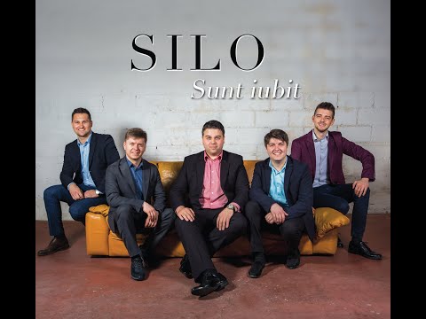 Tu-mi esti refugiul (You are My All in All) Cover