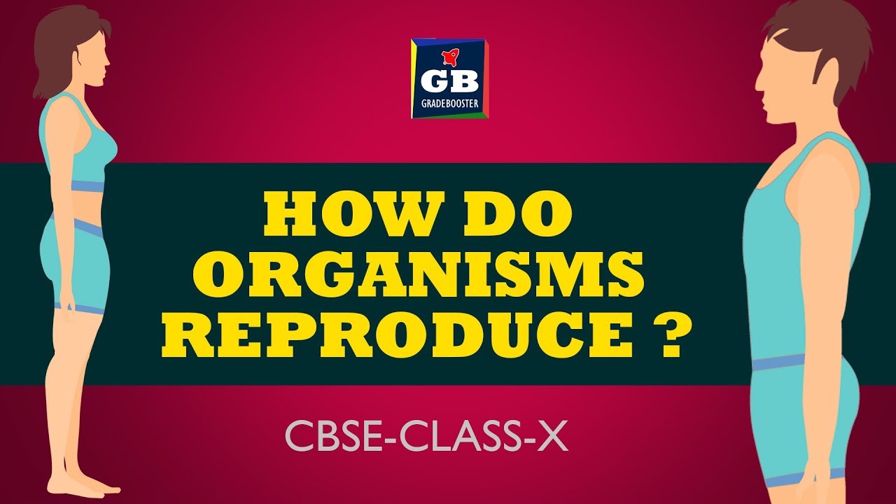#Reproductive health 10th class lesson |How do organisms reproduce| biology |ncert class 10 |science