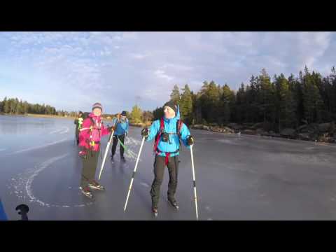 Alkvettern 2016-12-18