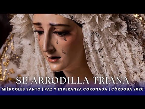 Se arrodilla Triana || Hermandad de la Paz y Esperanza || Miércoles Santo || Córdoba 2026