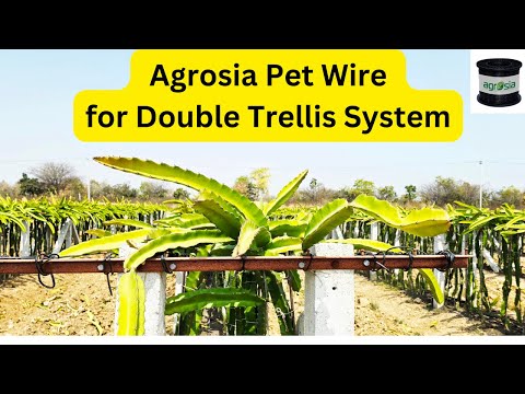 4.0mm Agrosia Pet Wire for Double Trellis system for Dragon Fruit