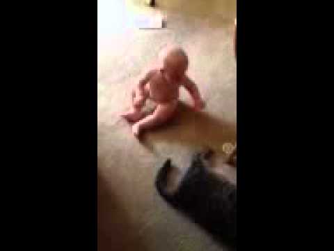 Darion gives rattle to Wicca