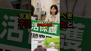 【変な制度】日本の政治に怒りの声