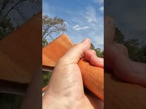 Remando en canoa en el Solis Chico