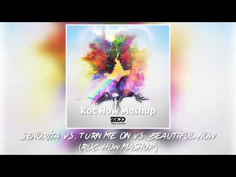 Senorita vs. Turn Me On vs. Beautiful Now (Roc How Mashup)