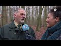 Eekhoorn in Kralingse Bos mag toch blijven