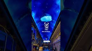 Msc Grandiosa Galleria ledwall 💙 with msc friend Christian #mscgrandiosa