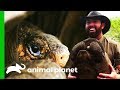 The Greatest Galapagos Discovery In Over 100 Years Extinct Or Alive