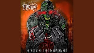 Don't Let the Bedbugs Bite