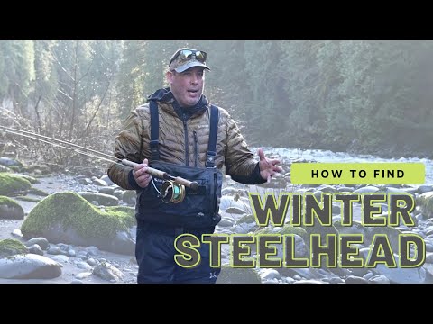 How to Find Winter Steelhead with Marty Sheppard