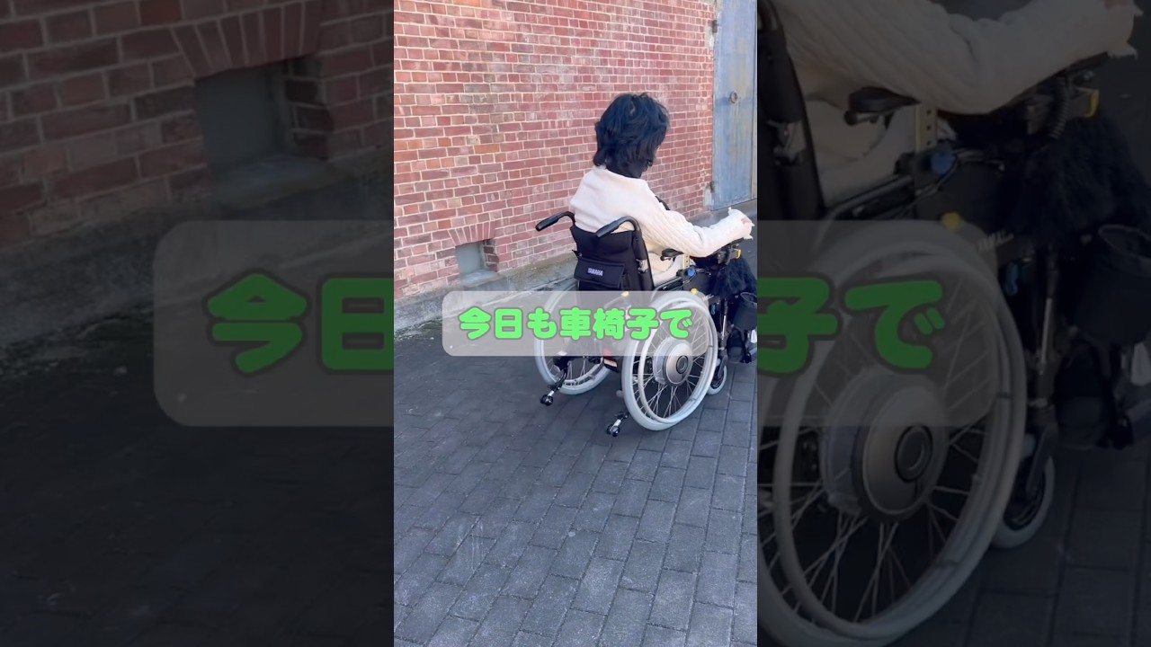 僕の車椅子と相棒。#いつもありがとう#大好き#障害者 #車椅子 #障がい者モデル #車椅子モデル #愛犬#冬の空の下#wheelchair #shorts