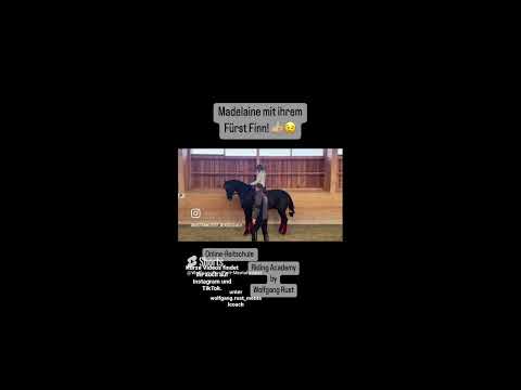 Piaffe mit Unterstützung- Madelaine und ihr Fürst Finn am richtigen Weg. Pferde richtig reiten