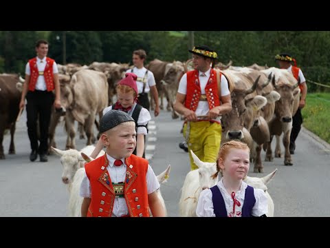 Öberefahre Oberer Mesmer 2022