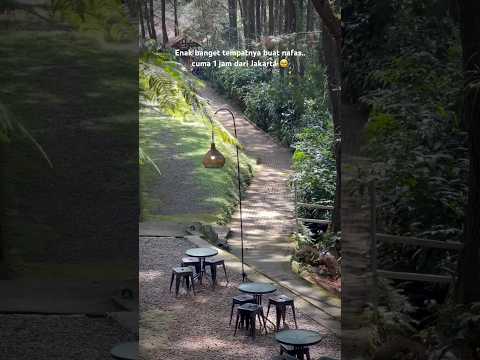 Bogor selalu punya tempat kece buat healing, guys! 🍃 Temukan kenyamanan di setiap sudutnya!