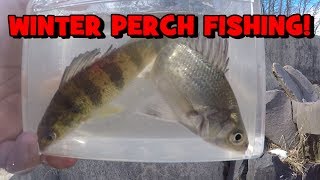 I Have Been SICK...BUT I AM BACK!!! (Winter Perch Fishing)