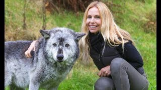 THE WOLVES' RETURN TO THE UK - George Monbiot