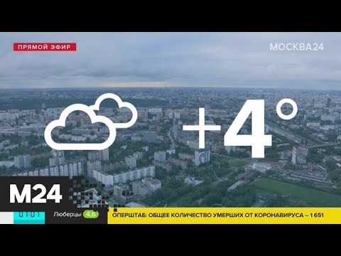 Прохладная погода ожидается в столичном регионе 19 мая - Москва 24