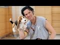 Alexander Marcus - Hundi 