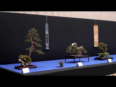 Trophy Bonsai Exhibition 2025
