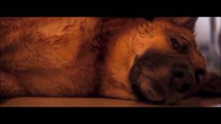 I am Legend Sam&#39;s Death Scene HD