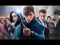 Fantastic Beasts Trailers: Hedwig's Theme Epic Mix