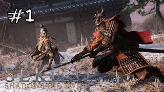 #1 SEKIRO/隻狼