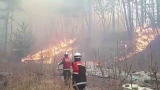 Huge forest fire in S. Korea forces hundreds of people to evacuate