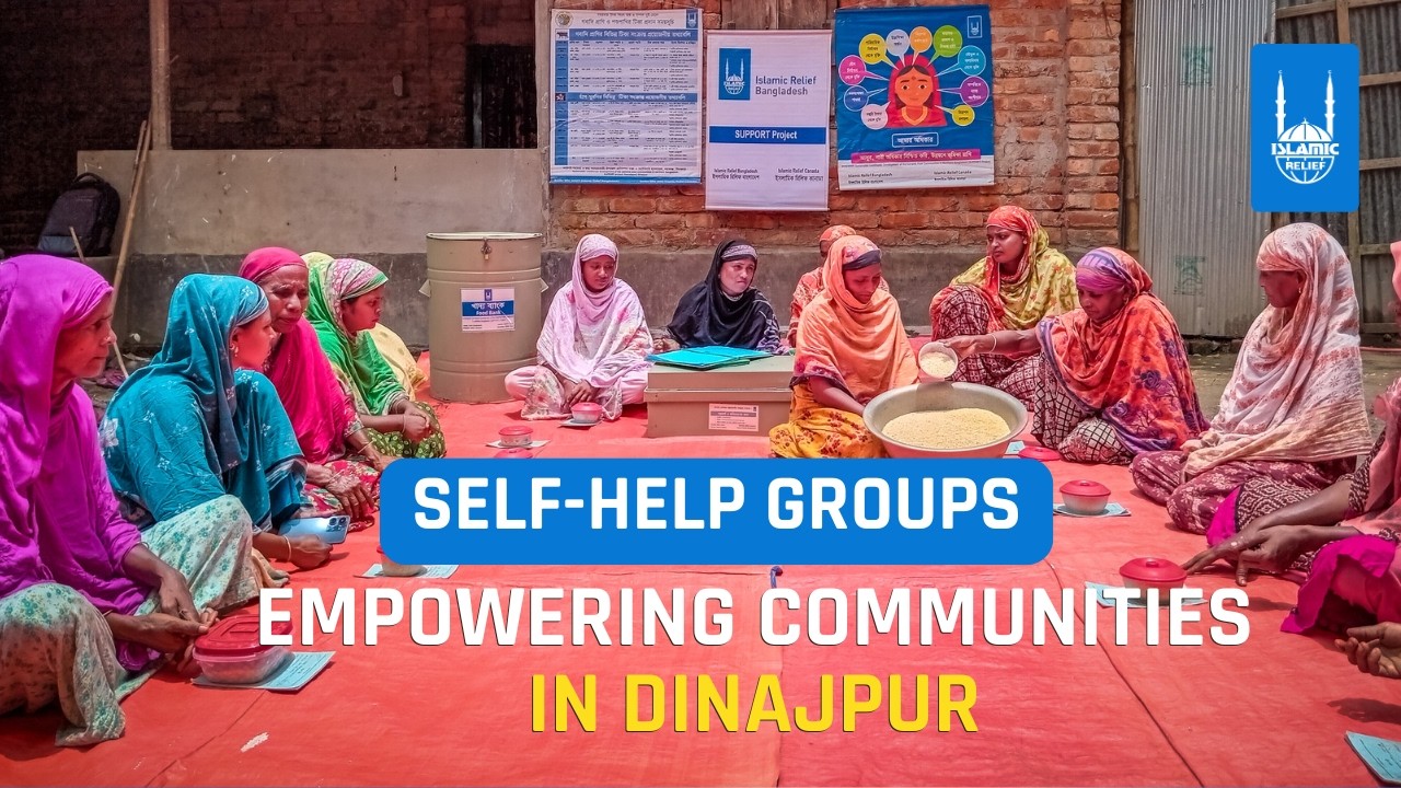 Women-Led Self‑Help Groups: Community Change-Making Platforms for Social Development
