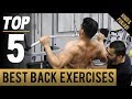 TOP 5 Best EXERCISES for BIG BACK! (Hindi / Punjabi)