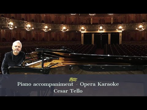 “Parla, siam soli...Tutte le feste al tempio...Sì, vendetta” - Rigoletto - Verdi