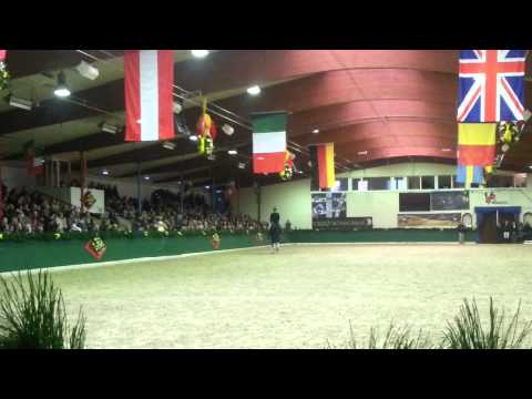 Cadeau Noir e: Christ hingst född 2010