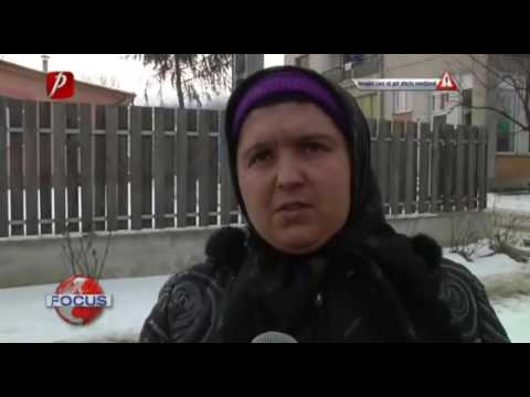 COPII ARŞI DE VII ÎN CASĂ