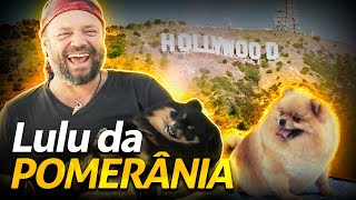 Miniatura do vídeo
