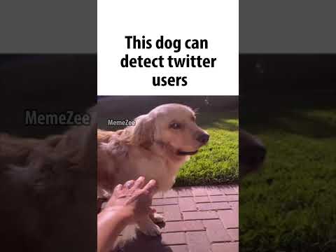 Dog detects twitter users