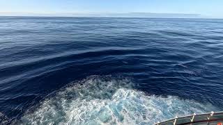 Круизный лайнер MSC SEASIDE пересекает Атлантику Горизонт, шум волн и ветра #mscseaside #cruise 