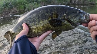 近所の川で人生初のスモールマウスバスが釣れました