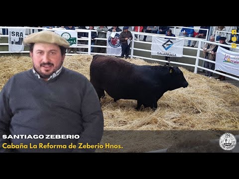 Remate de otoño Cabaña La Reforma de Zeberio Hnos🐮