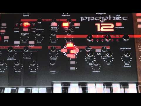 Dave Smith Instruments (DSI) Prophet 12 Song Demo