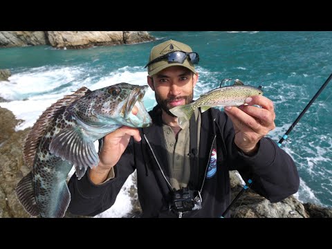 Fish Can't Resist this Swimbait! It took 53 Seconds to Hit Bottom!