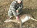 How to Hunt Deer : Where to Shoot a Deer for ...