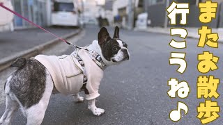 最後に一緒にお散歩行ってきた♪