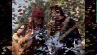 Waylon Jennings - Just to Statisfy you