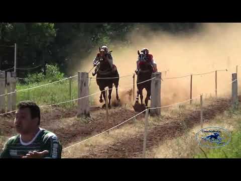 J C  Palmitinho   Desafio Paraguaia e Cigana