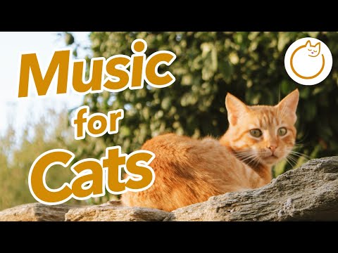 EXTRA LONG Music for Cats -  15 HOURS