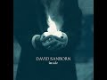 David Sanborn - Trance -1999