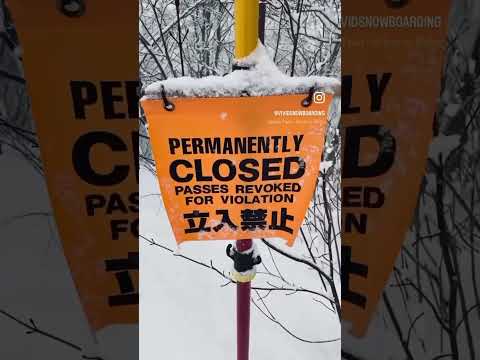 JAPAN POWDER CAMP IN MYOKO, JANUARY 2024 #snowboarding #verbier #shortsclip #snowboard #japan #myoko