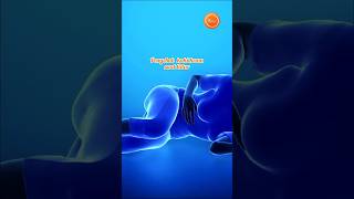 Download lagu Kaki Kram saat Tidur? Kenapa ya? (Part 1) π£π΄π€ #sahabatkecc #kalbe mp3 Download lagu Kaki Kram saat Tidur? Kenapa ya? (Part 1) π£π΄π€ #sahabatkecc #kalbe mp3