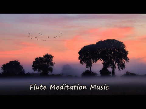 Himalayan Flute Music | Morning Flute Music | Meditation Music | (बाँसुरी) Aparmita Ep. 20