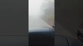 Download lagu quote suzana, kata bijak suzana mp3 Download lagu quote suzana, kata bijak suzana mp3